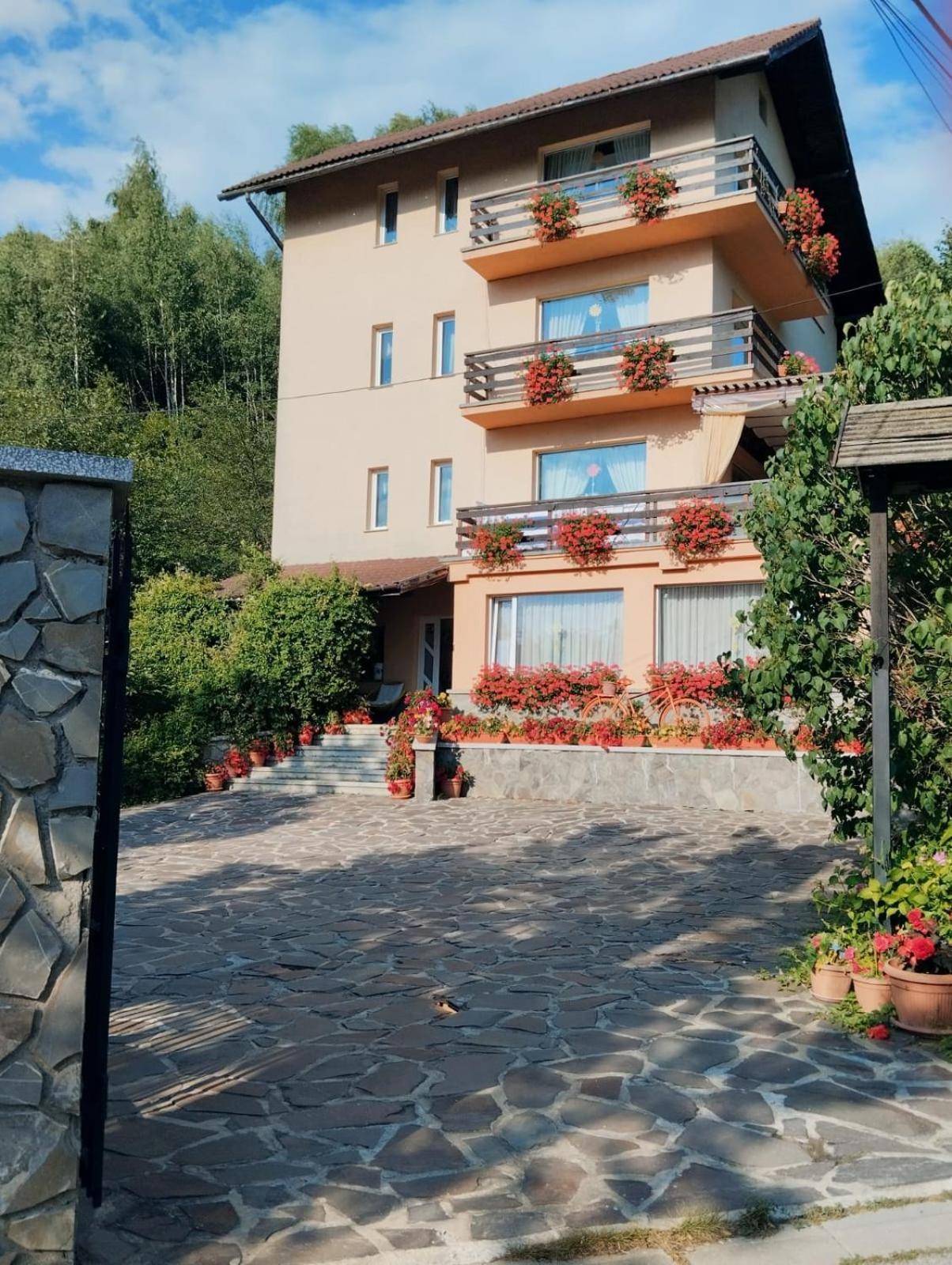 Pensiunea Transilvania Lodge Bran  Exterior foto